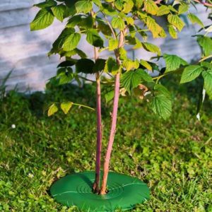 Chránič kríkov a stromčekov do 115 mm TreeGuard | Ovocné stromy Jeseň