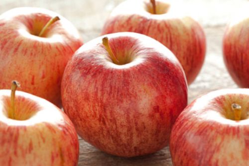 Úroda jablone Gala | Ovocné stromy Jeseň
